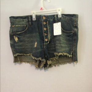 P67.  Free people shark bite/fp shorts